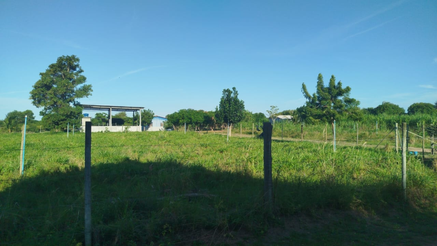 Terreno com mata verde e céu azul