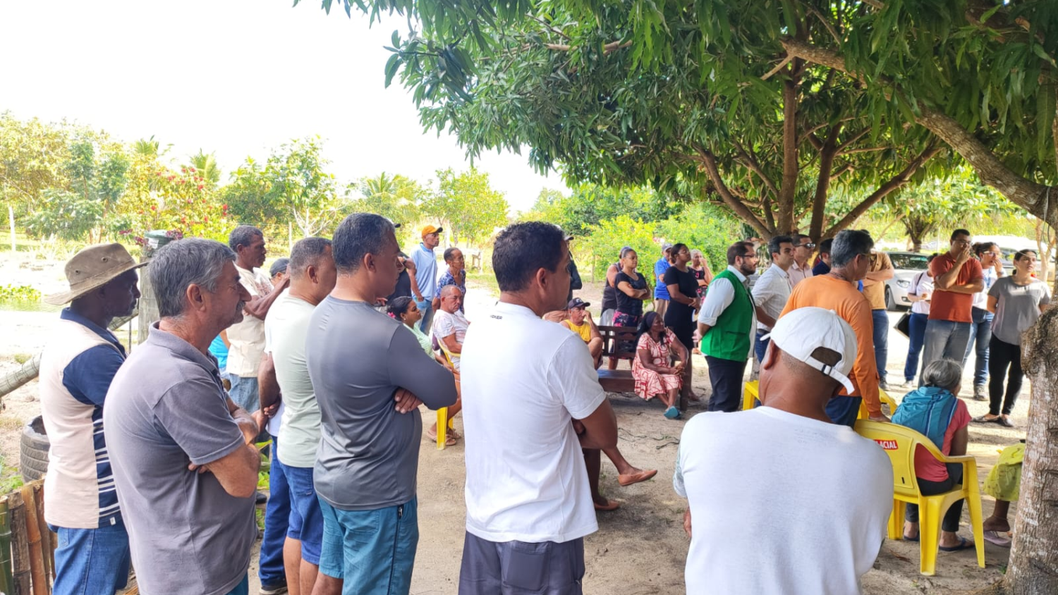 Famílias participando da reunião, sob uma árvore de copa grande