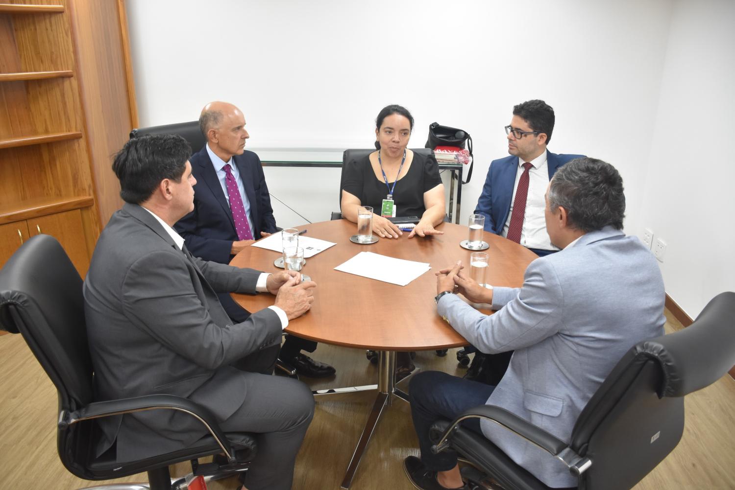 Reunião entre a CSF e o INSS