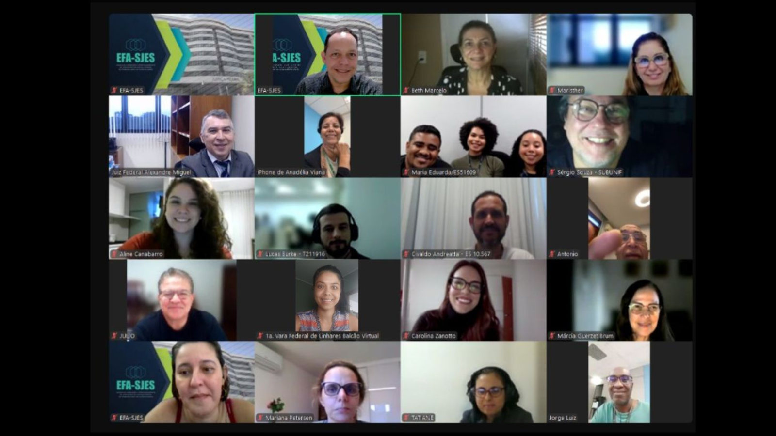 Imagem de pessoas participando do curso por videoconferência. Elas aparecem dentro de quadradinhos separados