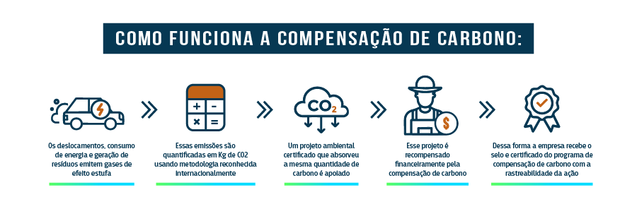 Como funciona a compensação de carbono