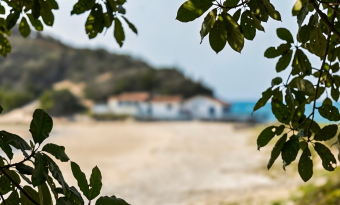 Fotografia de uma praia vista através de folhas verdes em primeiro plano. Os galhos e folhas de uma árvore ocupam as bordas superior e laterais da imagem, em foco, criando uma moldura natural. Ao fundo, desfocados, aparecem uma faixa de areia clara, o mar azul e um pequeno conjunto de construções brancas com telhados avermelhados próximas à praia. À esquerda, há um morro coberto por vegetação.