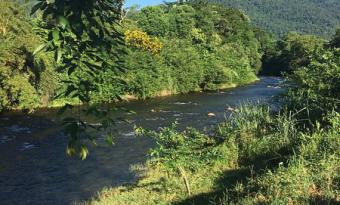 Rio de águas escuras contorna uma área de vegetação densa, com uma montanha coberta por mata ao fundo sob céu azul limpo. Em primeiro plano, há gramado e sombras de árvores, compondo uma paisagem natural e tranquila.