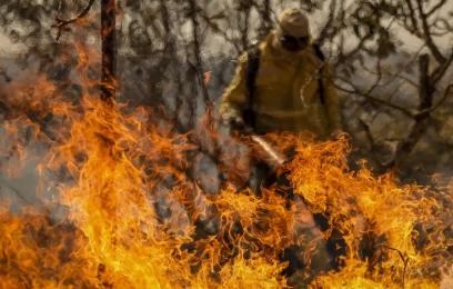 Imagem de combate à incêndio em floresta. Foto: Marcelo Camargo/Agência Brasil 
