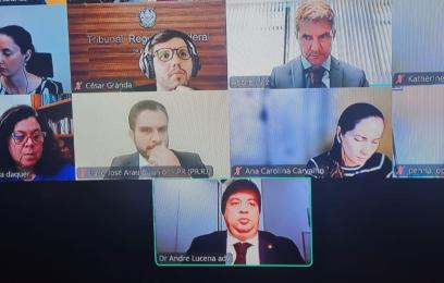 Impressão da tela com os rostos dos participantes da sessão 