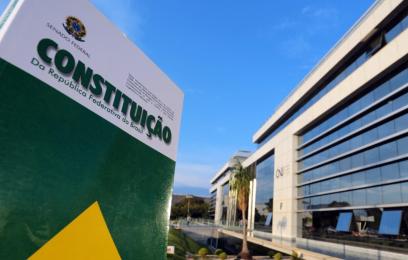 CNJ e Constituição