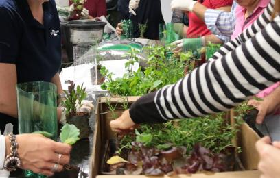 Semana da Pauta Verde